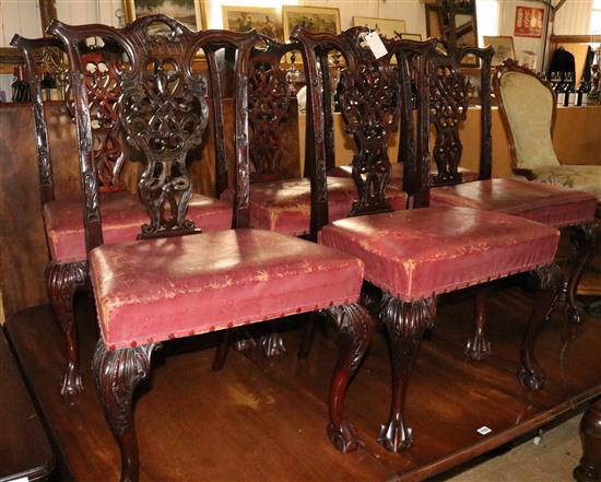 6 Chippendale style chairs